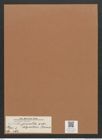 Navicula pussilla [sic] var. alpestris Brun (de-Toni-Nr.: Genus 1, Species 466) Zeichnungen Sammlung Grunow Mappe 00413 (Herbarium_W_Grunow_drawings_Folder_00413)